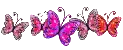 Pink  butterflies