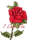 I love you