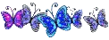 Blue and violet  butterflies
