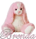 FLOPPY: BRENDA