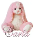 FLOPPY: CARLA
