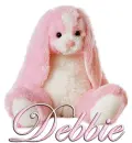 FLOPPY: DEBBIE