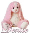 FLOPPY: DENISE