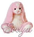 FLOPPY: EVELYN