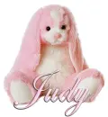FLOPPY: JUDY