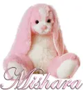FLOPPY: MISHARA