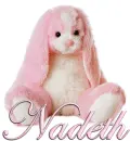 FLOPPY: NADETH
