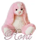 FLOPPY: RONI
