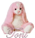 FLOPPY: TONI
