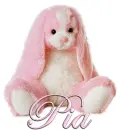 FLOPPY: PIA