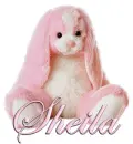 FLOPPY: SHEILA
