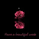 have a beautiful week
