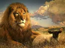 lion and lamb