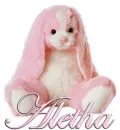 FLOPPY: ALETHA