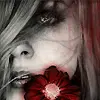 Lost Rose