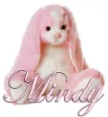 FLOPPY: MINDY