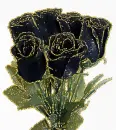 Black rose