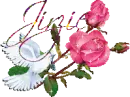 White dove with pink roses - Jirzie