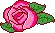 cute rose