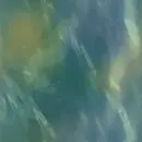 Seamless Abstract Tile 2
