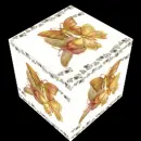 Cube