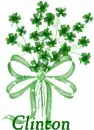 CLOVERS WITH NAME CLINTON