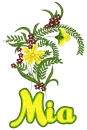 Spring flowers- Mia