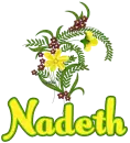 Spring flowers- Nadeth