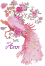 Ann's Pink Peacock