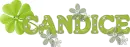 Candice