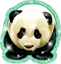 Panda Bear