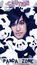 Caution ! Panda Zone