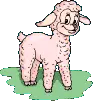 sheep