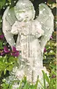 Garden Angel Girl