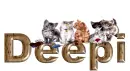 DEEPI