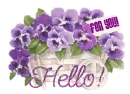 Hello!
