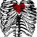 ribcage