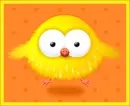 cute duck
