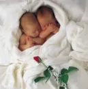 newborn babies