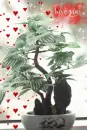 trees of love