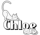 cats chloe