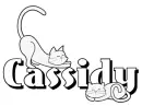 cats cassidy