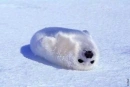 CUTE!
