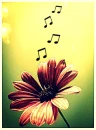 Music love