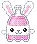 Bottle Bunny