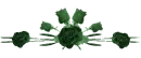 GREEN ROSES