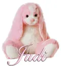 FLOPPY: JUDI