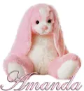 FLOPPY: AMANDA