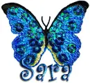 BLUE BUTTERFLY: SARA