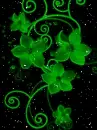 Color animation